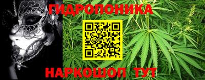 скорость Жуковский
